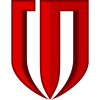 成都蓉城队旗