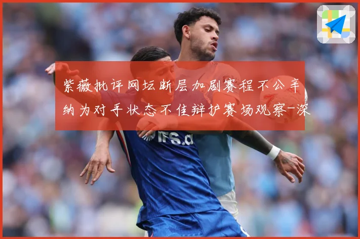 紫薇批评网坛断层加剧赛程不公辛纳为对手状态不佳辩护赛场观察-深度解析