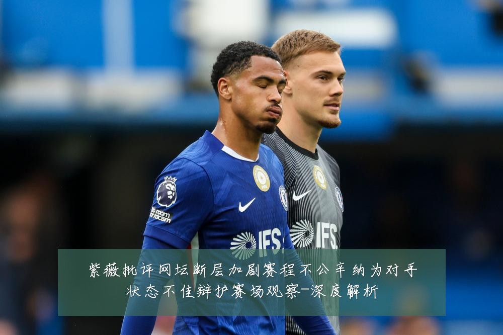 紫薇批评网坛断层加剧赛程不公辛纳为对手状态不佳辩护赛场观察-深度解析