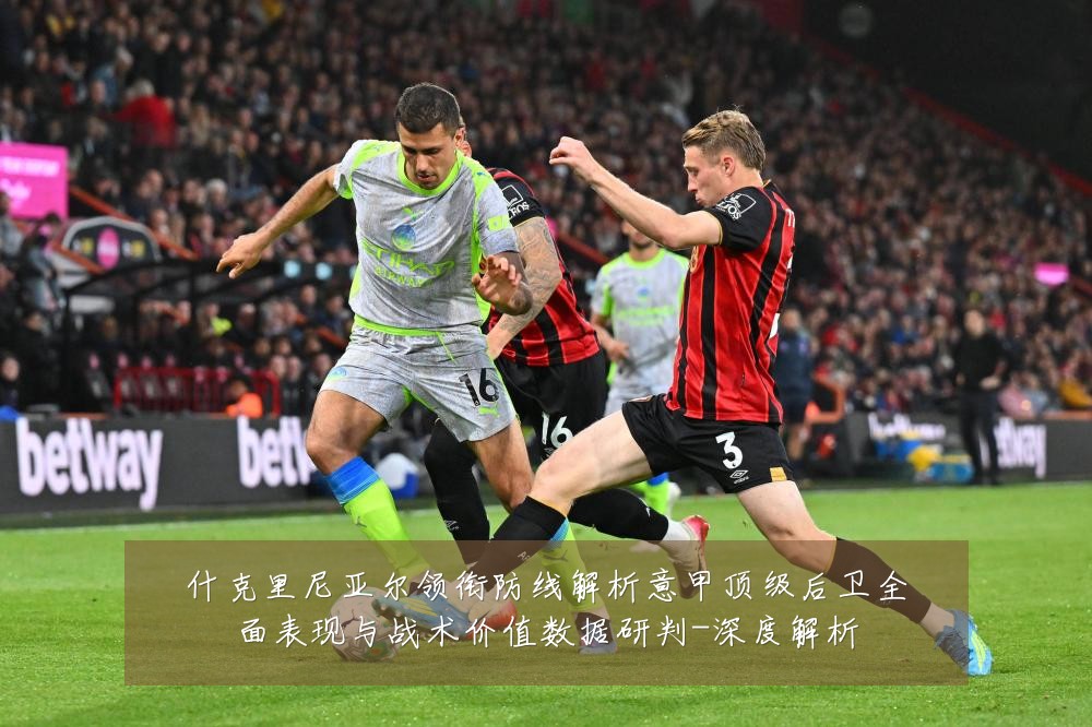 什克里尼亚尔领衔防线解析意甲顶级后卫全面表现与战术价值数据研判-深度解析