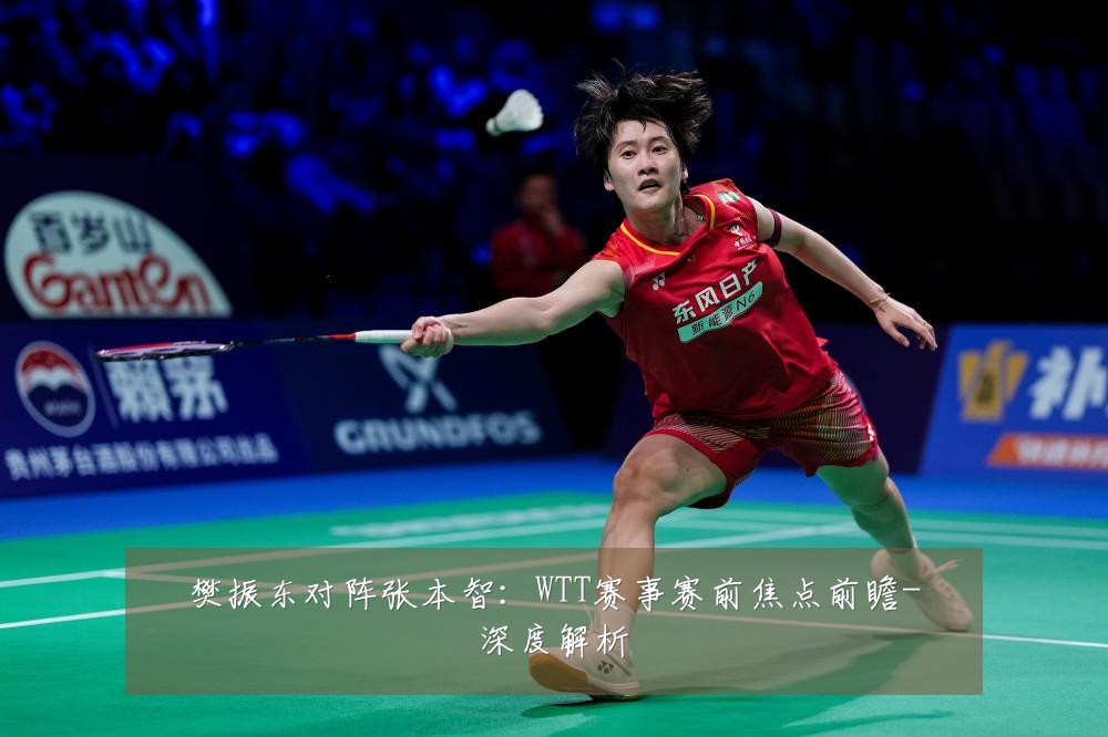 樊振东对阵张本智:WTT赛事赛前焦点前瞻-深度解析